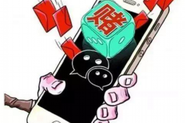 罗湖要账公司更多成功案例详情